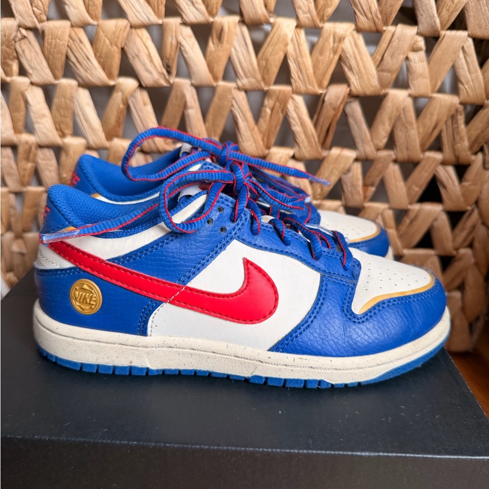 Nike Red and Blue Low-Top Sneakers